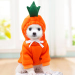 Cute Fruit Dog Clothes Hoodie | Winter Warm Fleece Outfit for Small Dogs, Cats & Puppies