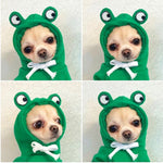 Cute Fruit Dog Clothes Hoodie | Winter Warm Fleece Outfit for Small Dogs, Cats & Puppies