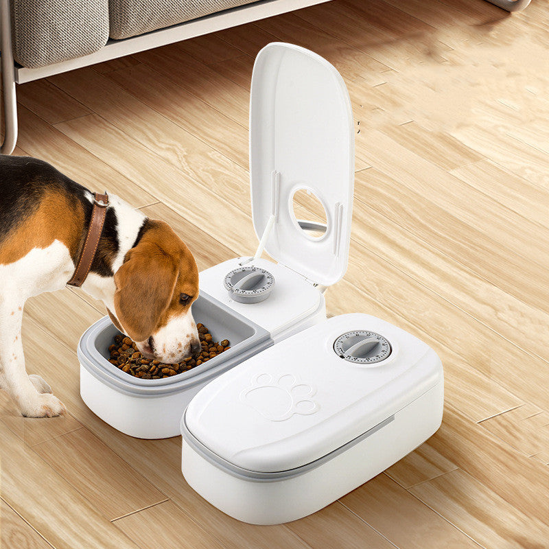 Glatino Automatic Smart Pet Feeder – Timed Food Dispenser with Stainless Steel Bowl for Cats & Dogs